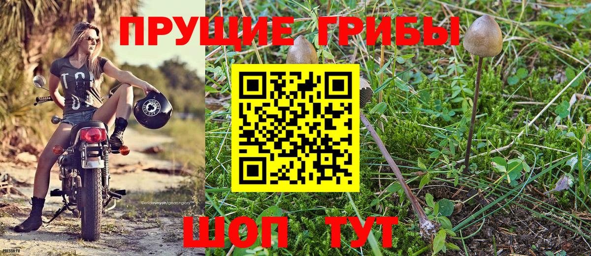 Галлюциногенные грибы ЛСД Сургут