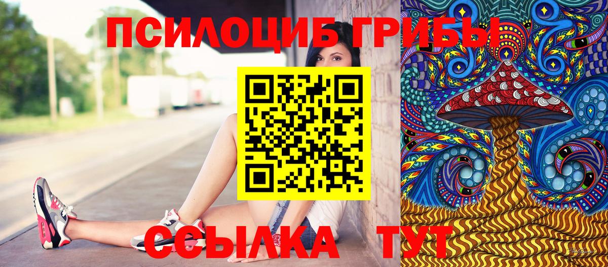 Сургут  Галлюциногенные грибы Psilocybe  Вход с VPN 